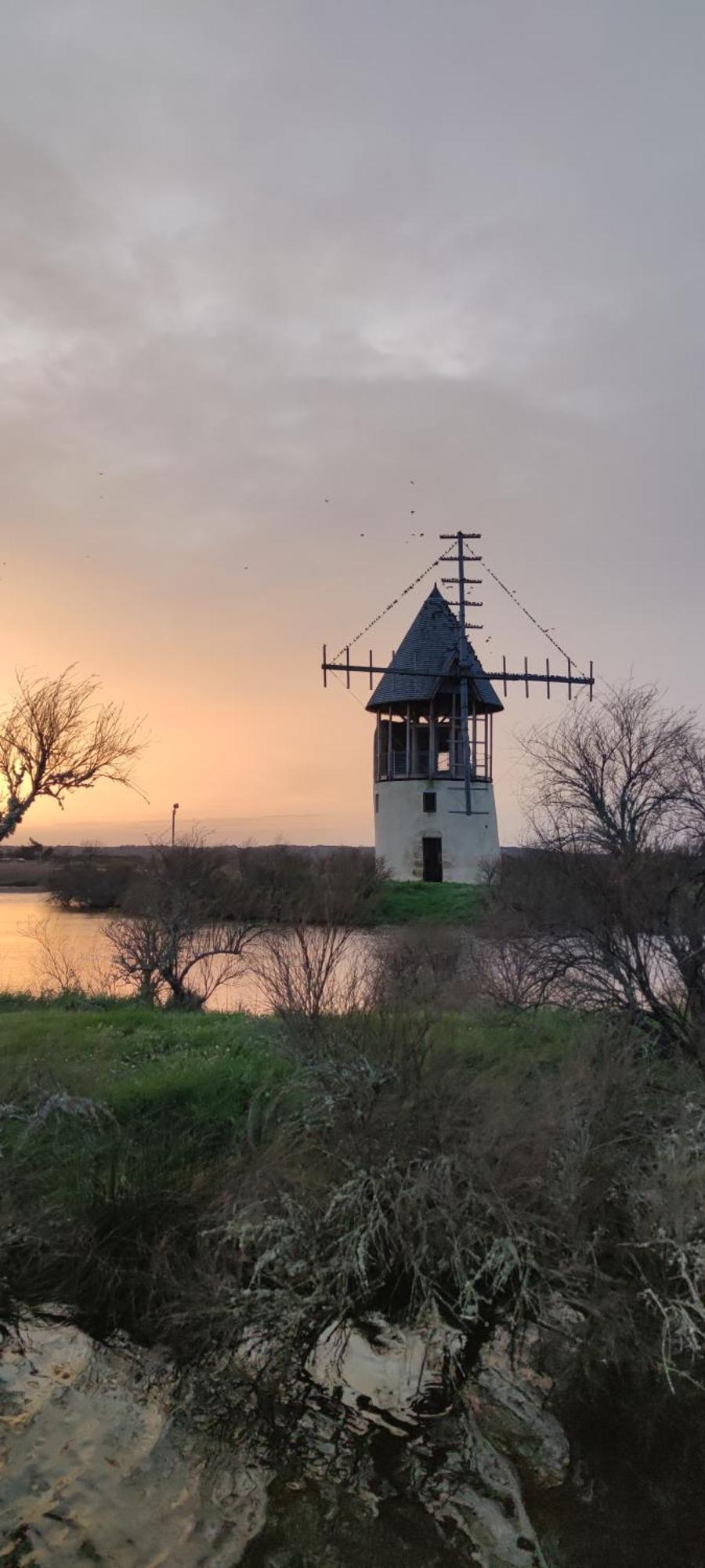 Les Oliviers Leilighet L'Ile-d'Olonne Eksteriør bilde